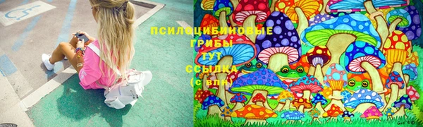 spice Лихославль